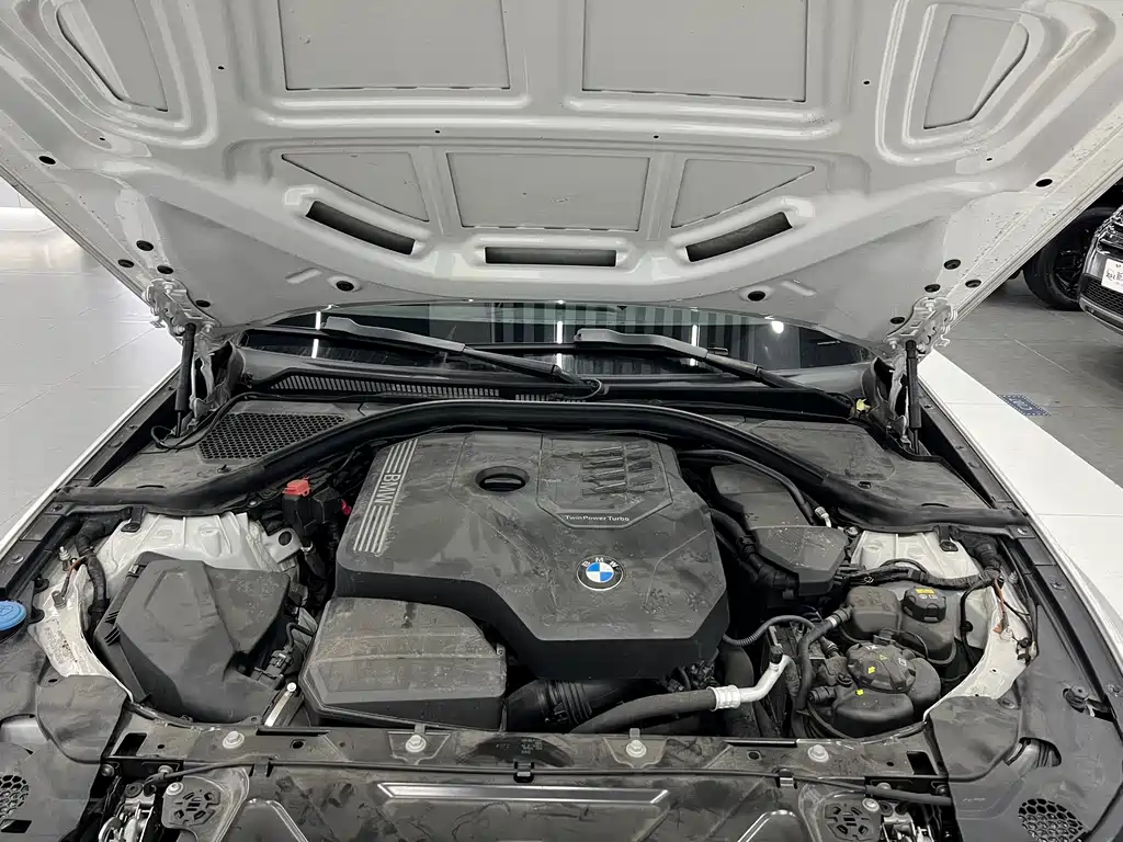 BMW BMW 3 Series 2020 325Li M Sport Package 2019 - thumbnail 22
