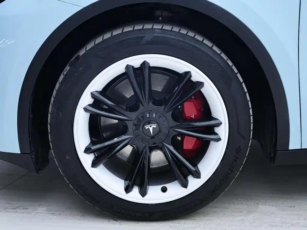 Tesla Model Y 2022 Rear-Wheel Drive 2023 - thumbnail 11