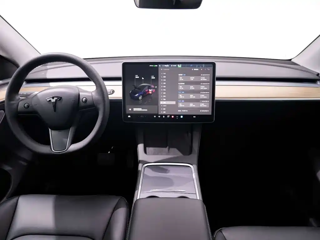 Tesla Model Y 2022 Rear-Wheel Drive 2023 - thumbnail 14