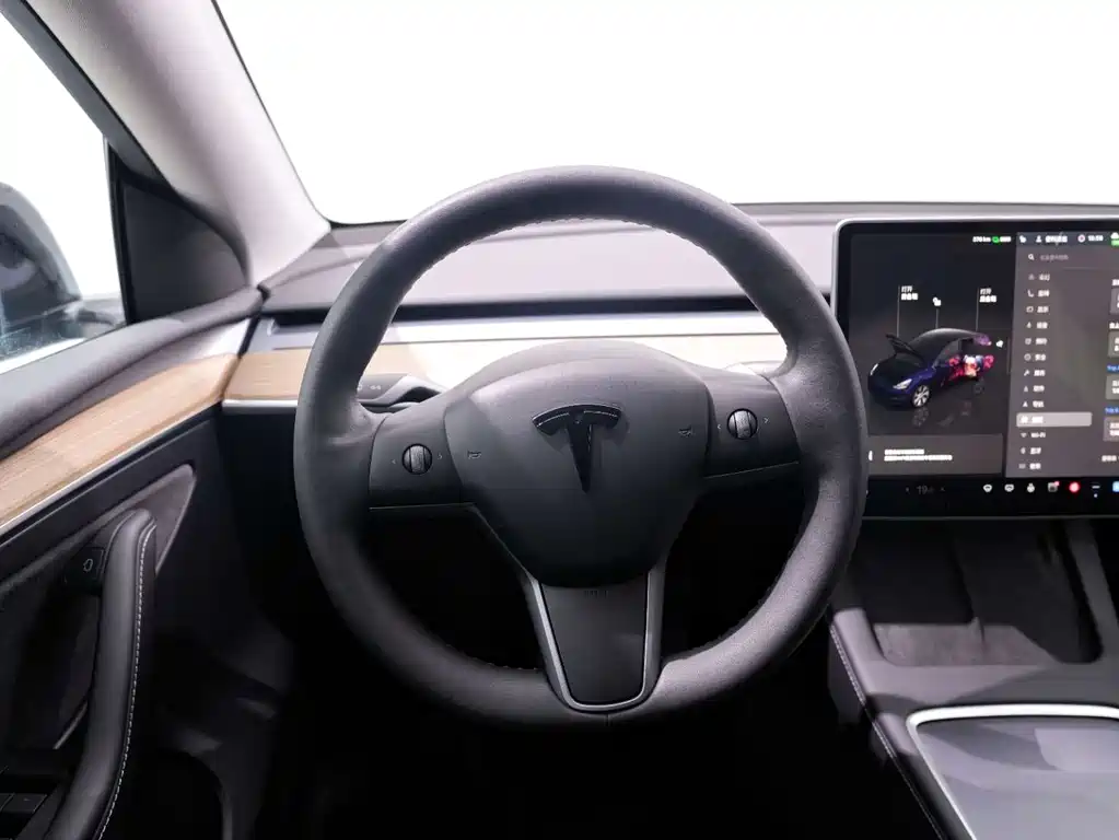 Tesla Model Y 2022 Rear-Wheel Drive 2023 - thumbnail 16