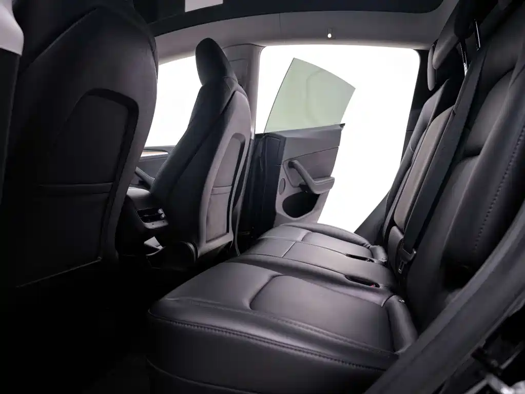 Tesla Model Y 2022 Rear-Wheel Drive 2023 - thumbnail 25