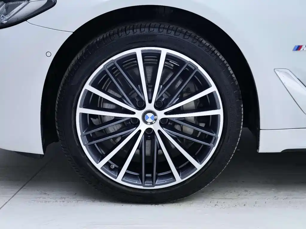 BMW BMW 5 Series 2023 530Li Leading Model M Sport Package 2024 - thumbnail 10