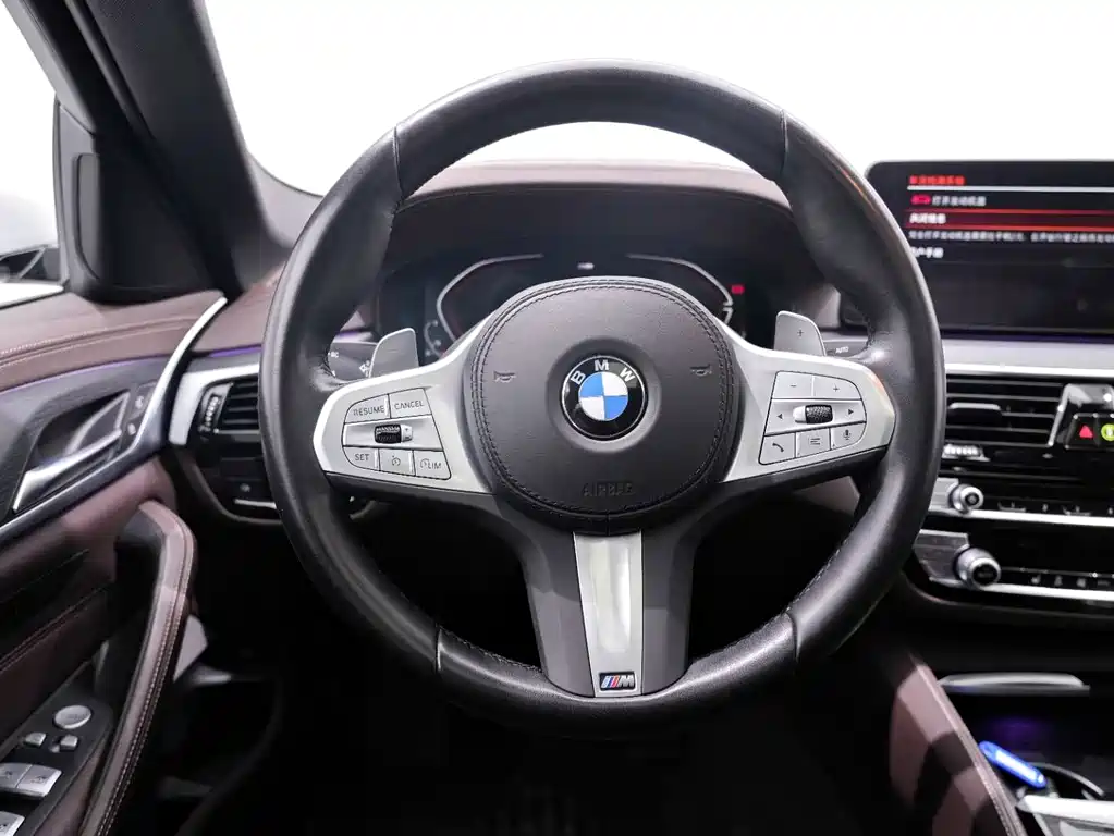 BMW BMW 5 Series 2023 530Li Leading Model M Sport Package 2024 - thumbnail 17