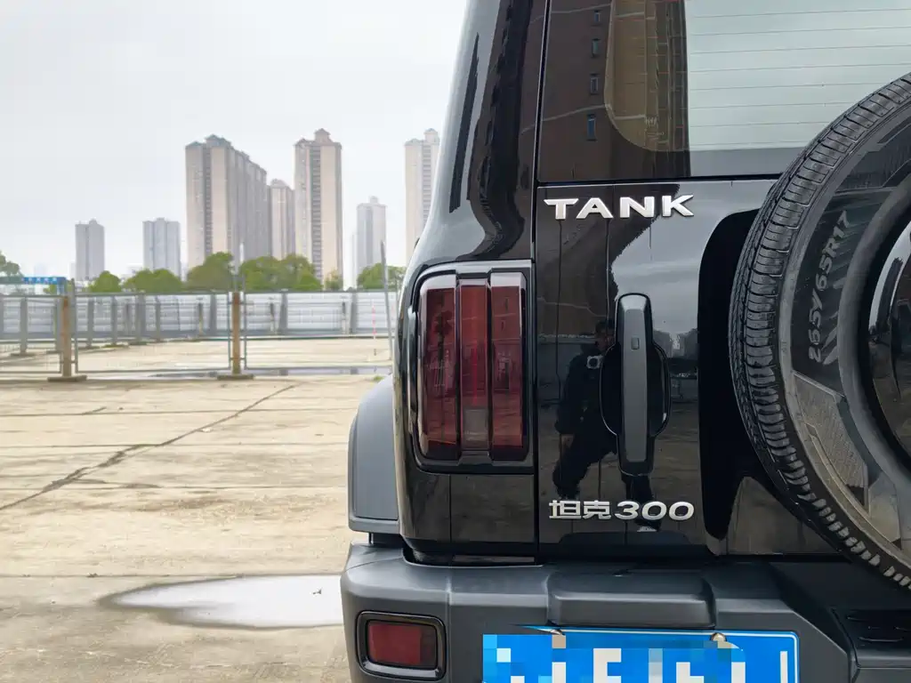 Tank Tank 300 2021 Off-road Edition 2.0T Conqueror 2021 - thumbnail 8