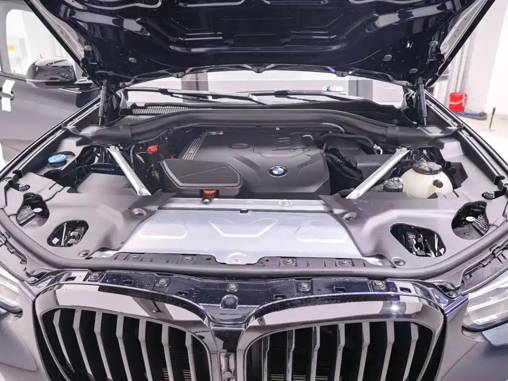 BMW BMW X3 2023 xDrive30i Leading Model M Night Package 2024 - thumbnail 23