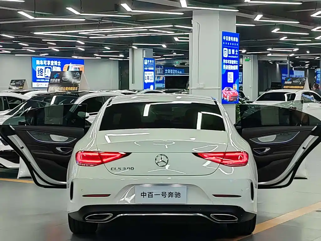 Mercedes-Benz Mercedes-Benz CLS 2018 CLS 300 Luxury 2019 - thumbnail 6