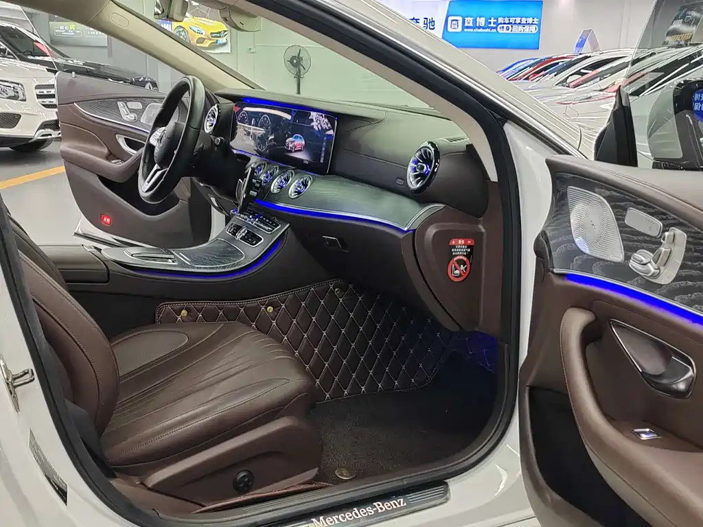 Mercedes-Benz Mercedes-Benz CLS 2018 CLS 300 Luxury 2019 - thumbnail 12