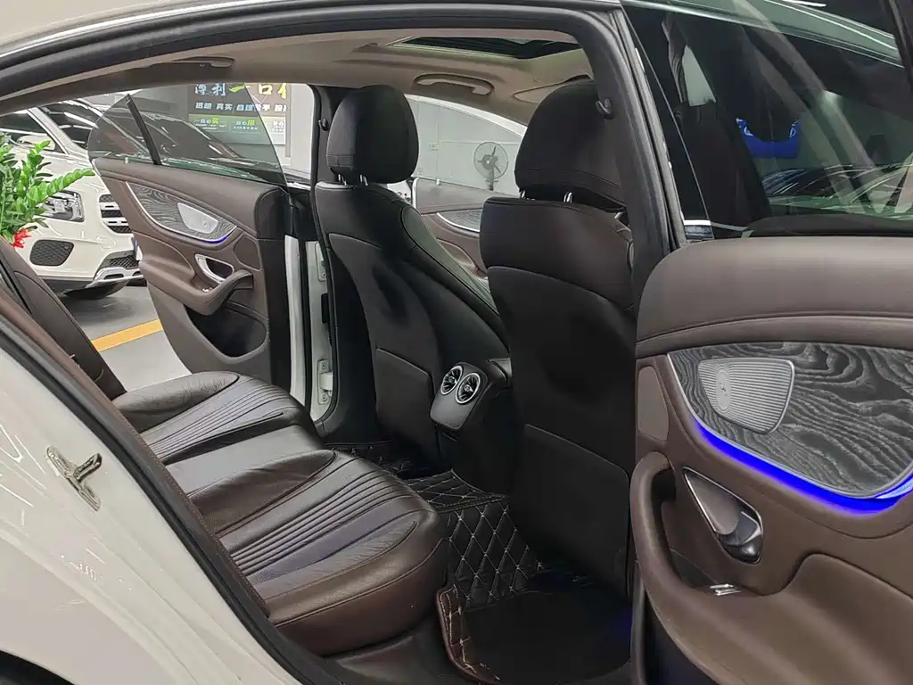Mercedes-Benz Mercedes-Benz CLS 2018 CLS 300 Luxury 2019 - thumbnail 13