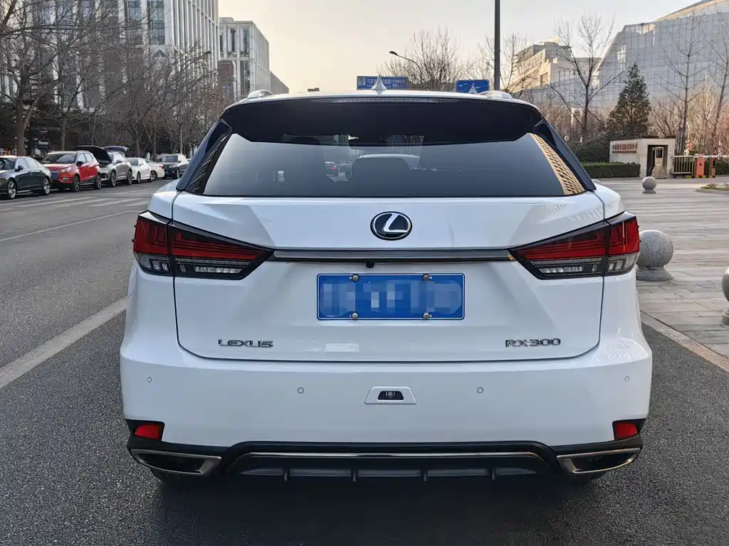 Lexus Lexus RX 300 F SPORT AWD (2020 Model Year) 2020 - thumbnail 3