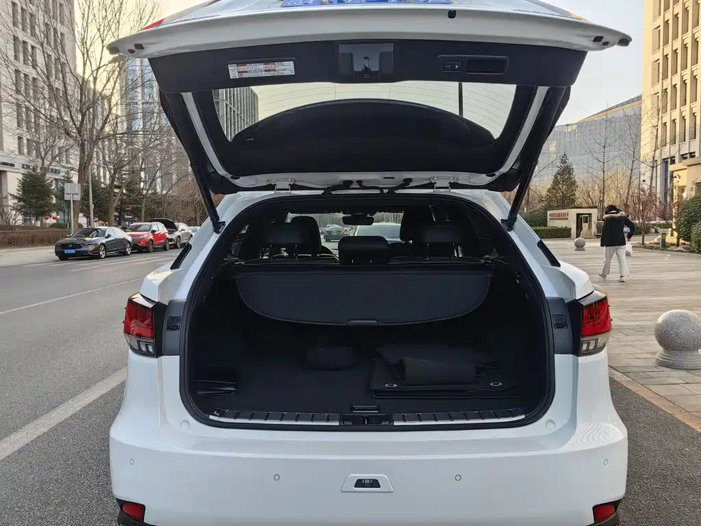 Lexus Lexus RX 300 F SPORT AWD (2020 Model Year) 2020 - thumbnail 15