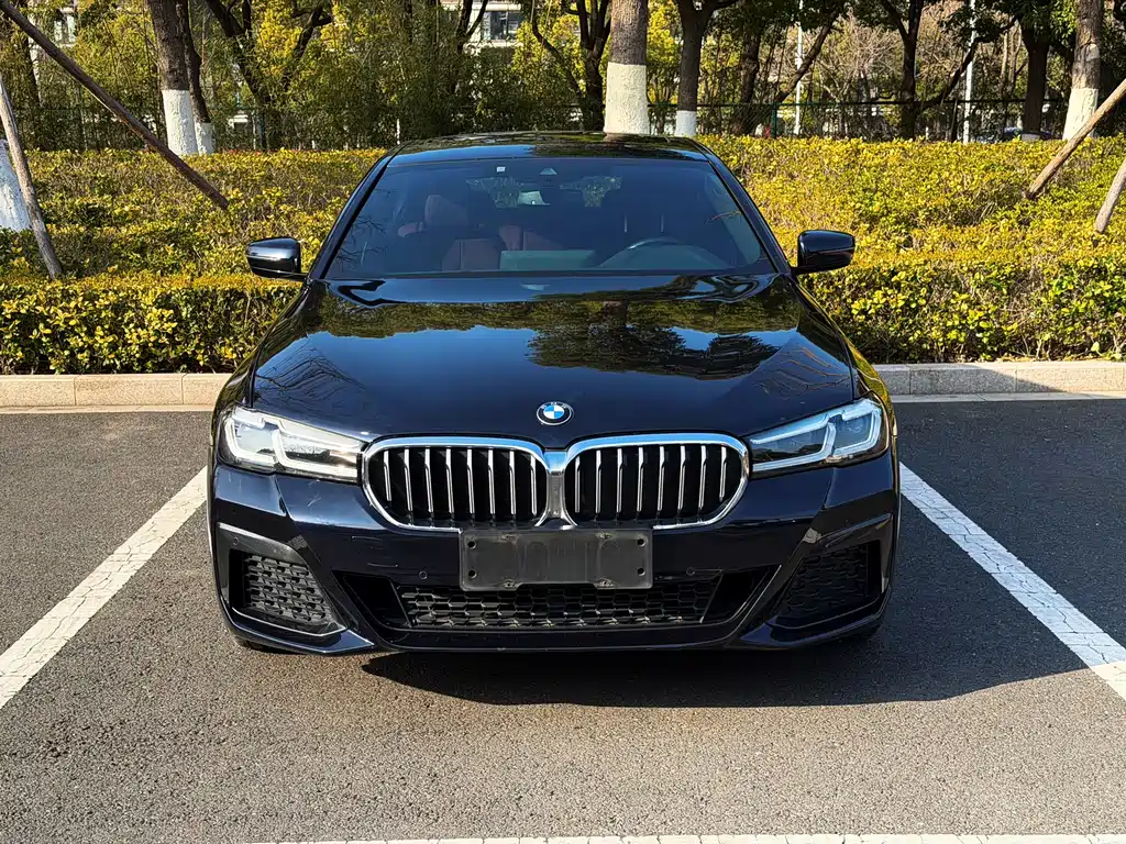 BMW BMW 5 Series 2021 530Li Leading Model M Sport Package 2021
