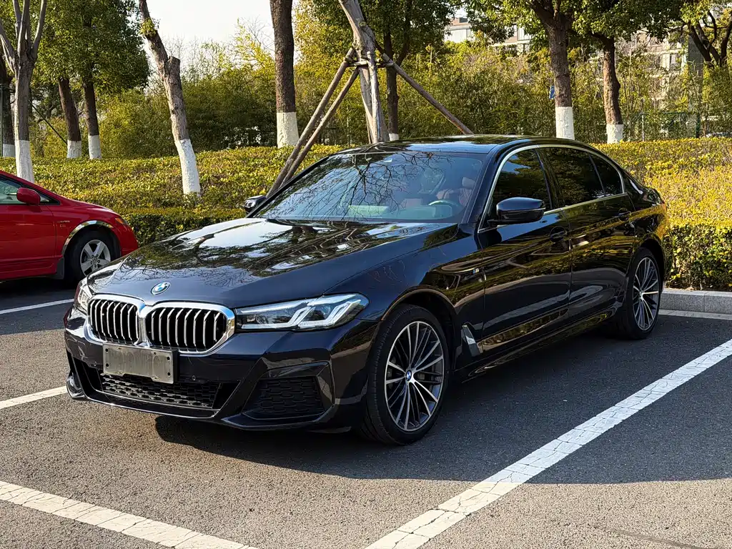 BMW BMW 5 Series 2021 530Li Leading Model M Sport Package 2021 - thumbnail 2