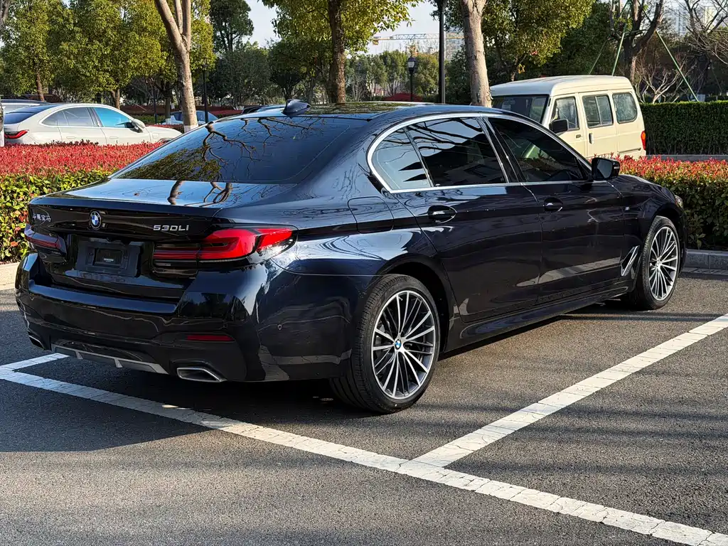 BMW BMW 5 Series 2021 530Li Leading Model M Sport Package 2021 - thumbnail 5