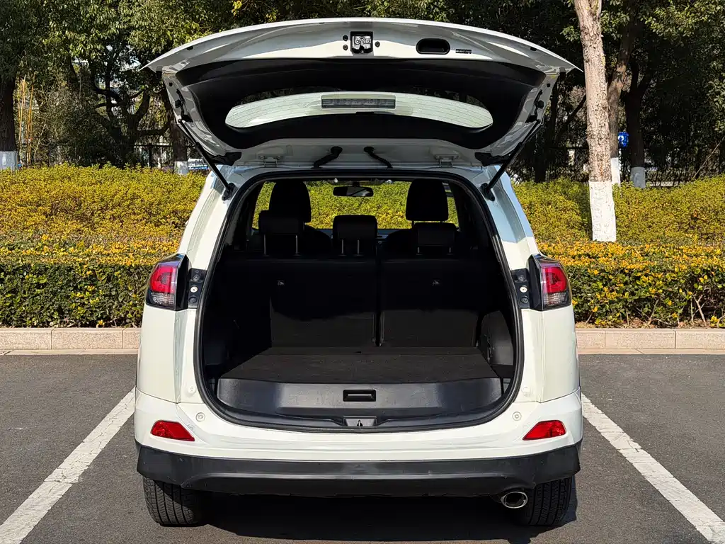 Toyota RAV4 2018 2.0L CVT 2WD Fashion X Edition 2019 - thumbnail 8