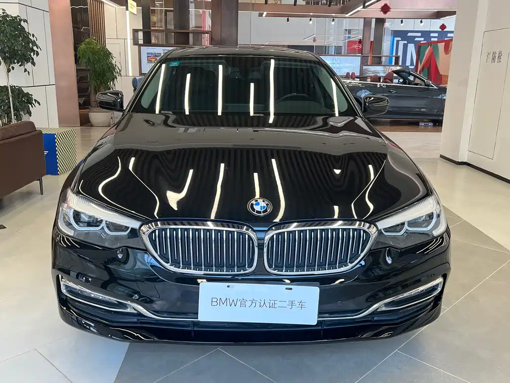 BMW BMW 5 Series 2018 525Li Luxury Package 2018 - thumbnail 2