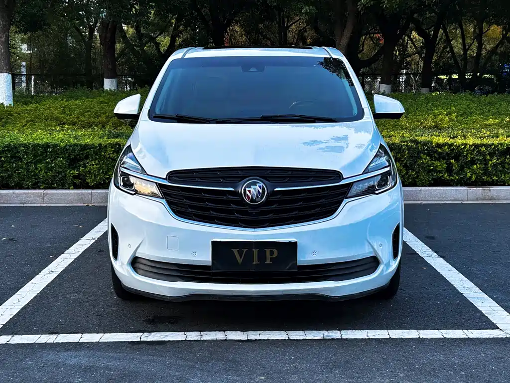 Buick Buick GL8 2021 Land Business Class 652T Intelligent Luxury Edition 2021