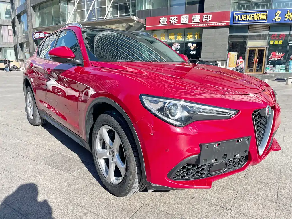 Alfa Romeo Alfa Romeo Stelvio 2017 2.0T 200HP Elite Edition 2019 - thumbnail 2