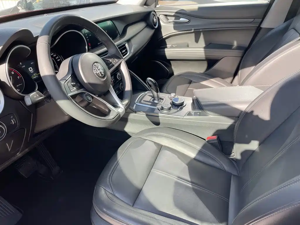 Alfa Romeo Alfa Romeo Stelvio 2017 2.0T 200HP Elite Edition 2019 - thumbnail 5