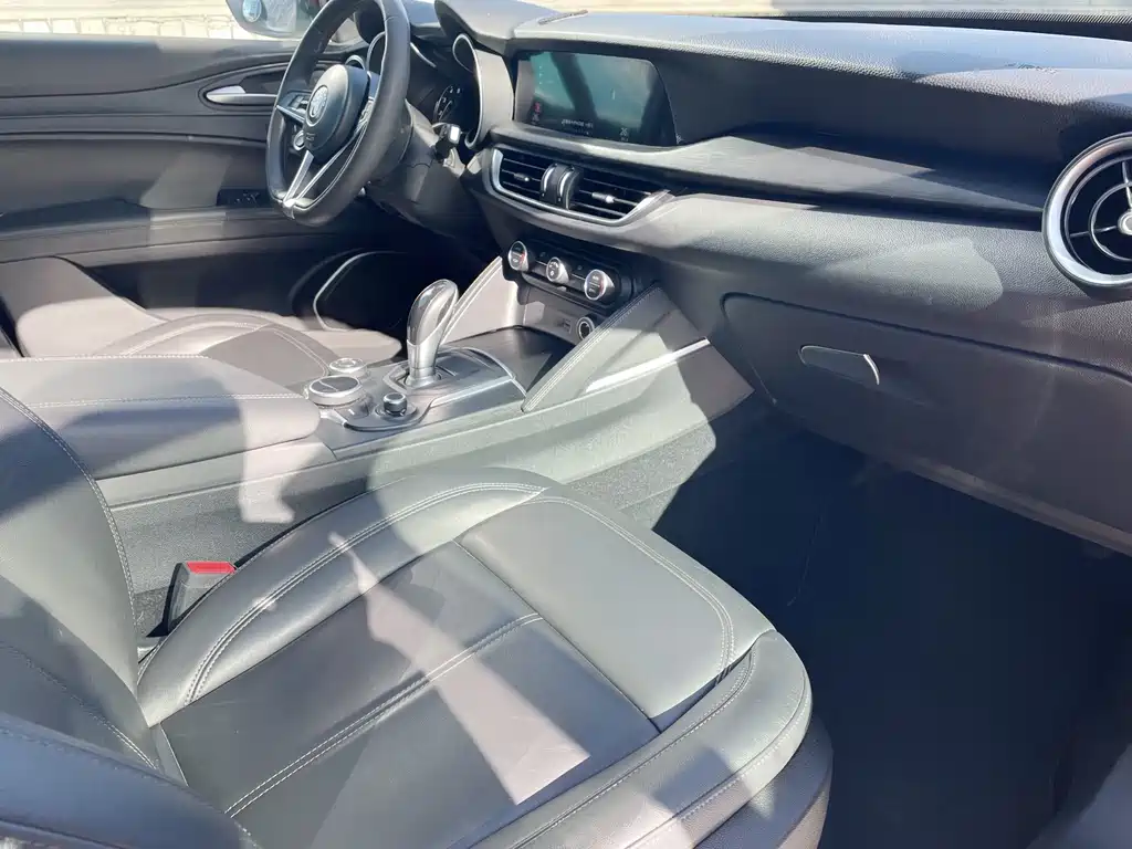 Alfa Romeo Alfa Romeo Stelvio 2017 2.0T 200HP Elite Edition 2019 - thumbnail 6