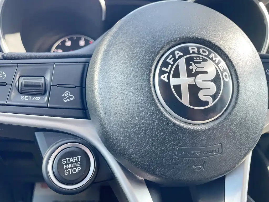 Alfa Romeo Alfa Romeo Stelvio 2017 2.0T 200HP Elite Edition 2019 - thumbnail 10