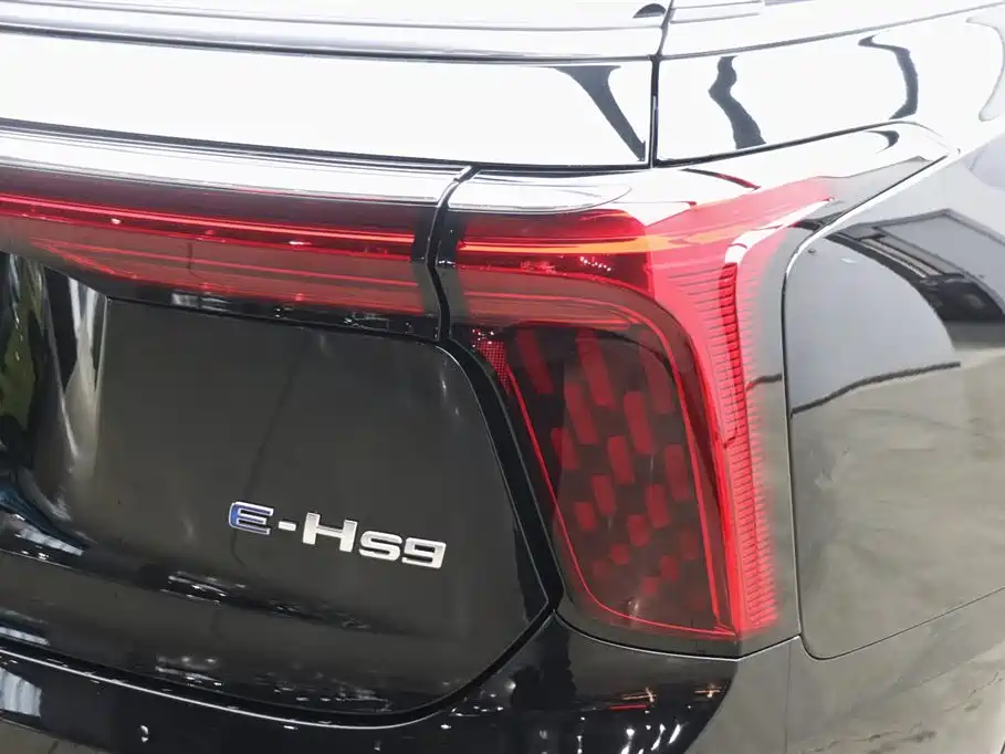 Hongqi Hongqi E-HS9 2022 660km Flag Enjoyment Edition Six Seats 2023 - thumbnail 30