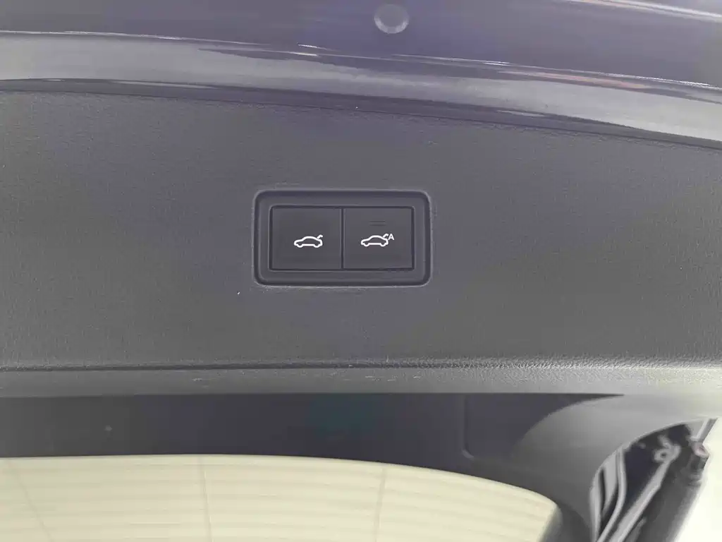Volkswagen Volkswagen Tiguan L 2019 330TSI Automatic 2WD Intelligent Luxury Edition China V 2019 - thumbnail 29