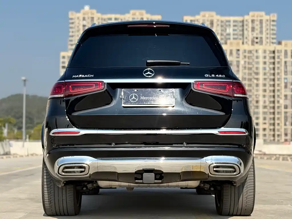 Mercedes-Benz Mercedes-Benz GLS 2023 GLS 450 4MATIC Luxury Edition 2023 - thumbnail 12