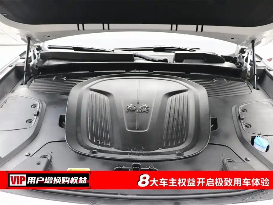 Hongqi Hongqi E-HS9 2022 Model 660km Flag Enjoyment Version Six Seats 2023 - thumbnail 7