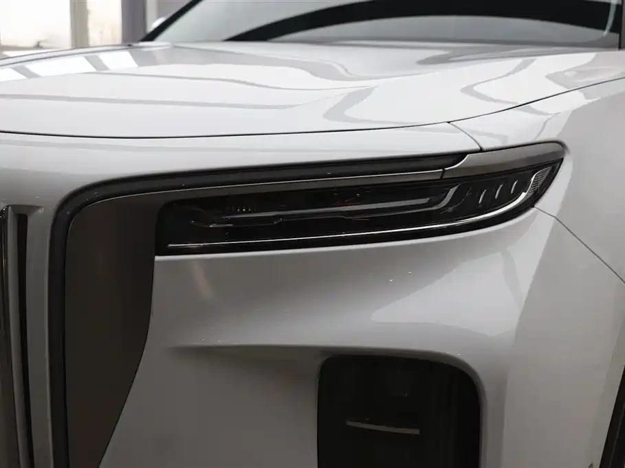 Hongqi Hongqi E-HS9 2022 Model 660km Flag Enjoyment Version Six Seats 2023 - thumbnail 27