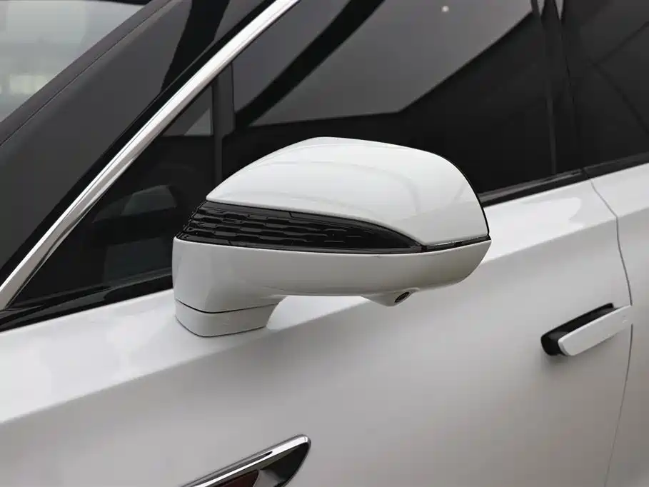 Hongqi Hongqi E-HS9 2022 Model 660km Flag Enjoyment Version Six Seats 2023 - thumbnail 29