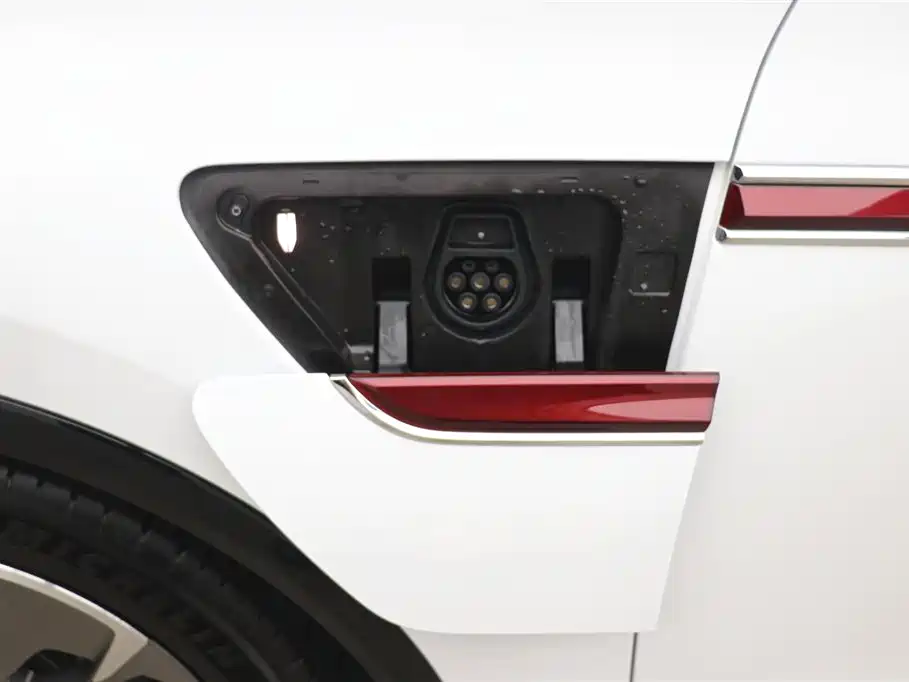 Hongqi Hongqi E-HS9 2022 Model 660km Flag Enjoyment Version Six Seats 2023 - thumbnail 30