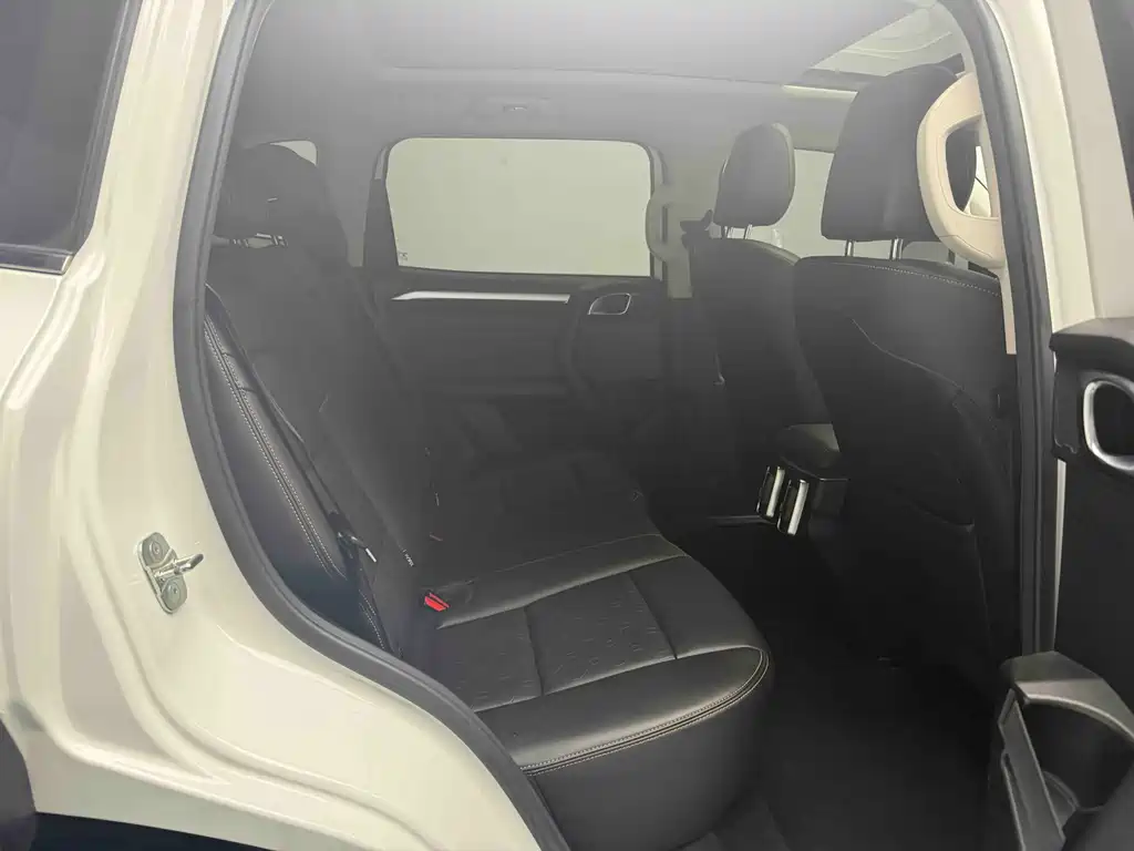 Haval Haval Big Dog 2021 1.5T DCT 2WD Border Collie - Wang Cai Edition 2021 - thumbnail 4