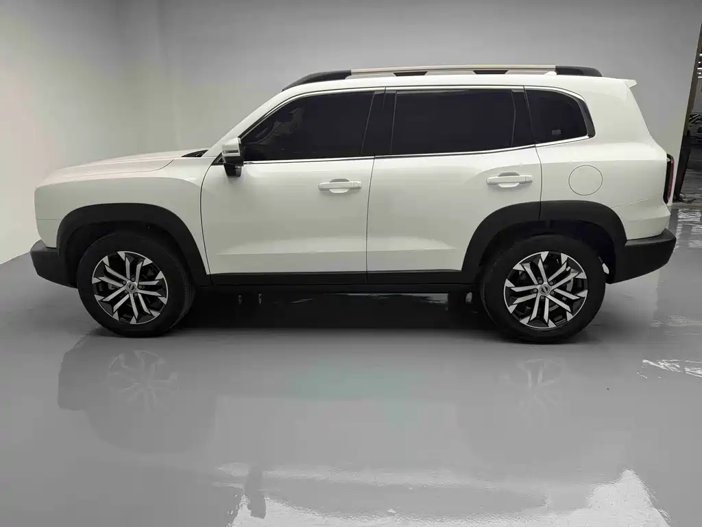 Haval Haval Big Dog 2021 1.5T DCT 2WD Border Collie - Wang Cai Edition 2021 - thumbnail 11