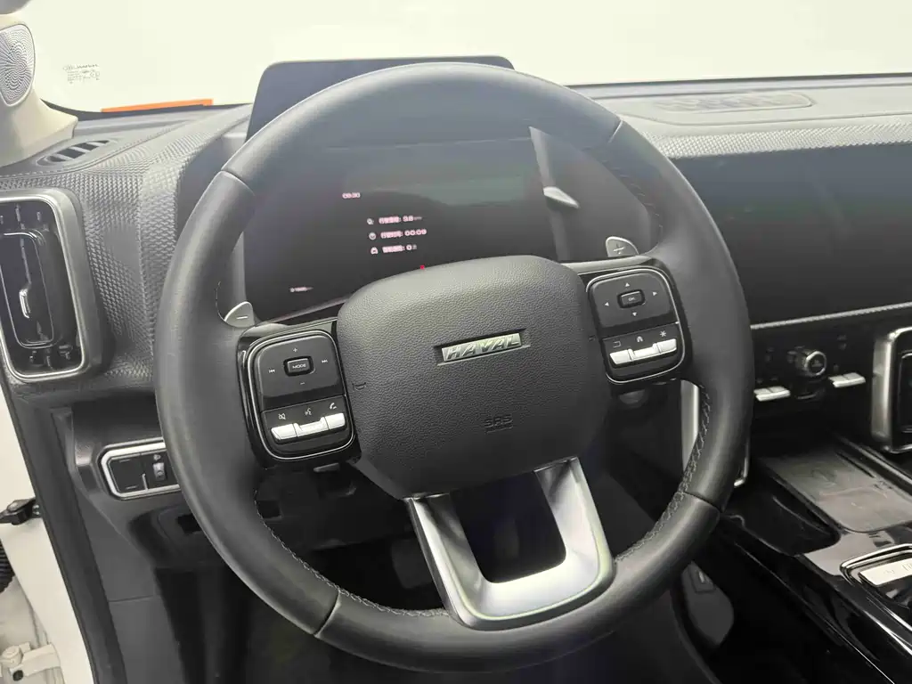 Haval Haval Big Dog 2021 1.5T DCT 2WD Border Collie - Wang Cai Edition 2021 - thumbnail 15