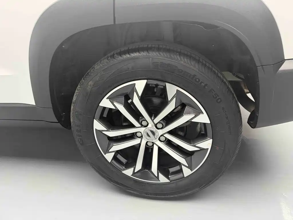 Haval Haval Big Dog 2021 1.5T DCT 2WD Border Collie - Wang Cai Edition 2021 - thumbnail 20