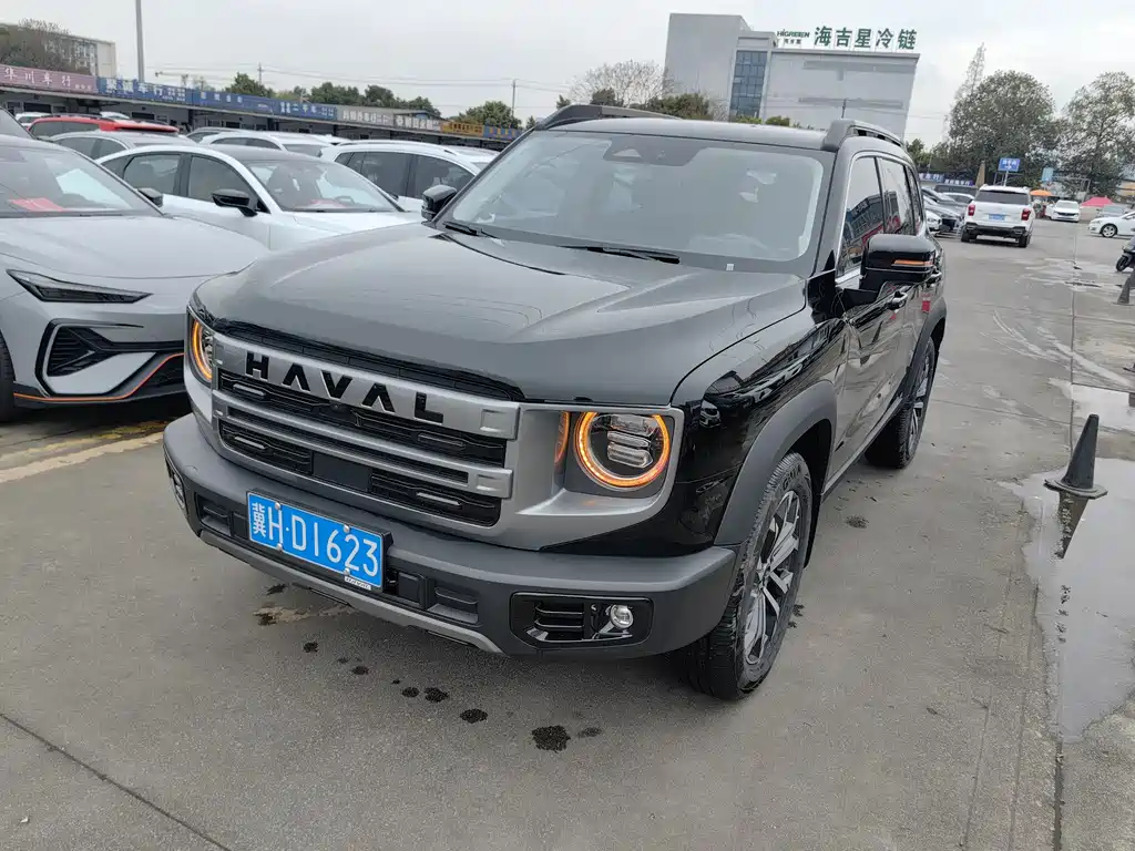 Haval Haval Big Dog 2024 1.5T DCT Border Collie Edition 2024