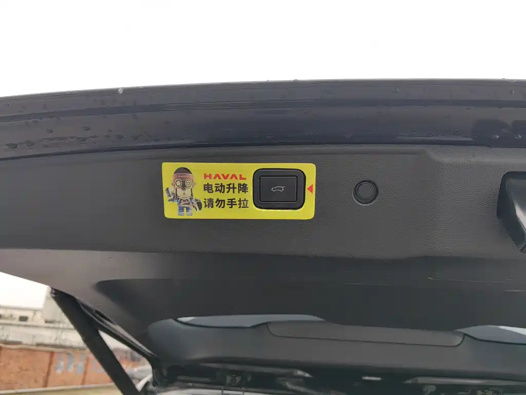 Haval Haval Big Dog 2024 1.5T DCT Border Collie Edition 2024 - thumbnail 16