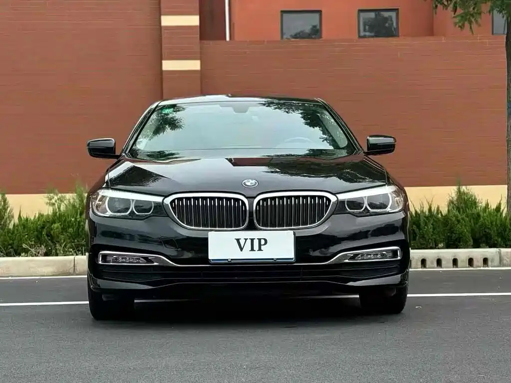 BMW BMW 5 Series 2018 530Li Leading Model M Sport Package 2017 - thumbnail 2