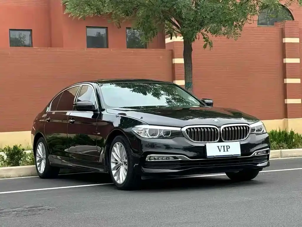 BMW BMW 5 Series 2018 530Li Leading Model M Sport Package 2017 - thumbnail 3