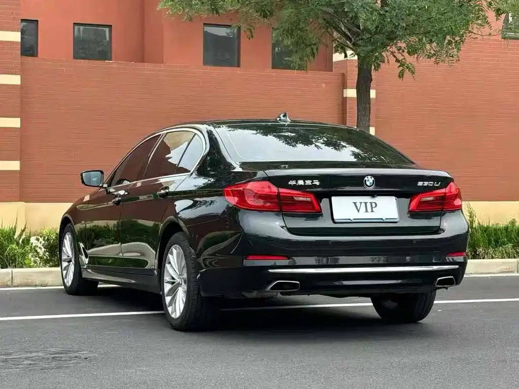 BMW BMW 5 Series 2018 530Li Leading Model M Sport Package 2017 - thumbnail 7