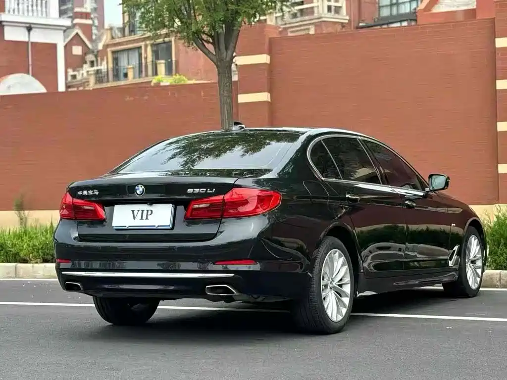 BMW BMW 5 Series 2018 530Li Leading Model M Sport Package 2017 - thumbnail 9