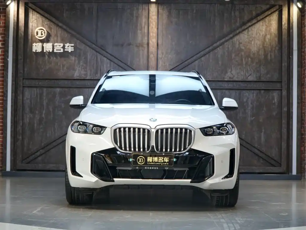 BMW BMW X5 2025 xDrive 40Li M Sport Shadow Night Package 2024 - thumbnail 2