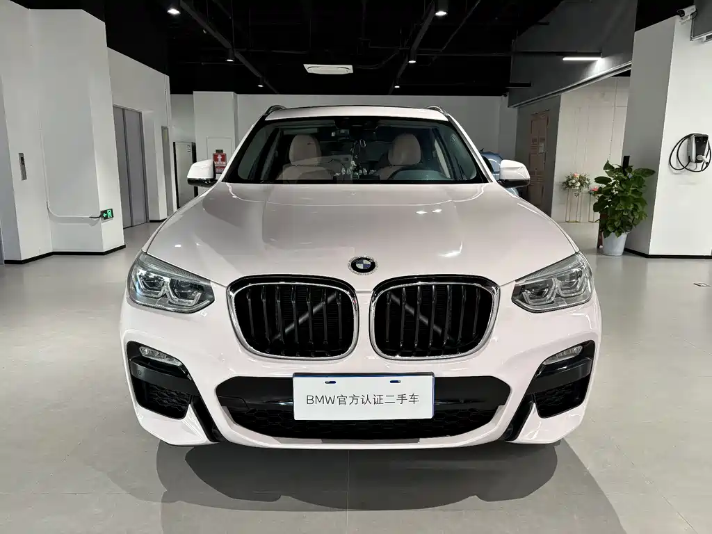 BMW BMW X3 xDrive25i M Sport Package 2018 Model国VI 2018 - thumbnail 2