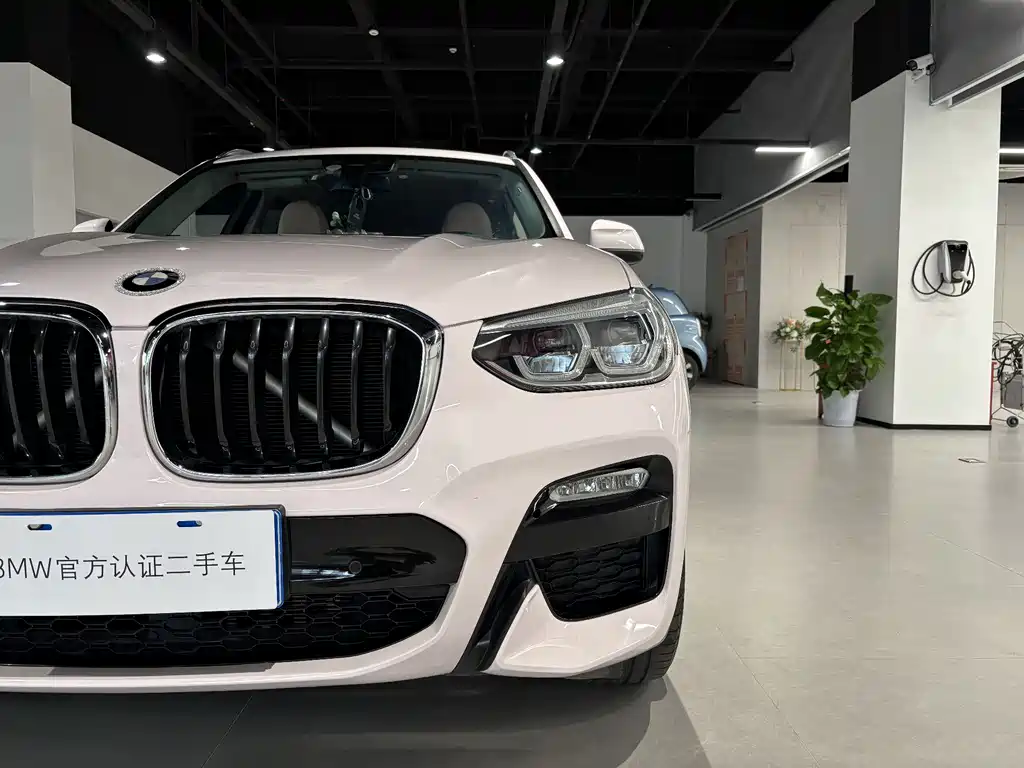 BMW BMW X3 xDrive25i M Sport Package 2018 Model国VI 2018 - thumbnail 7