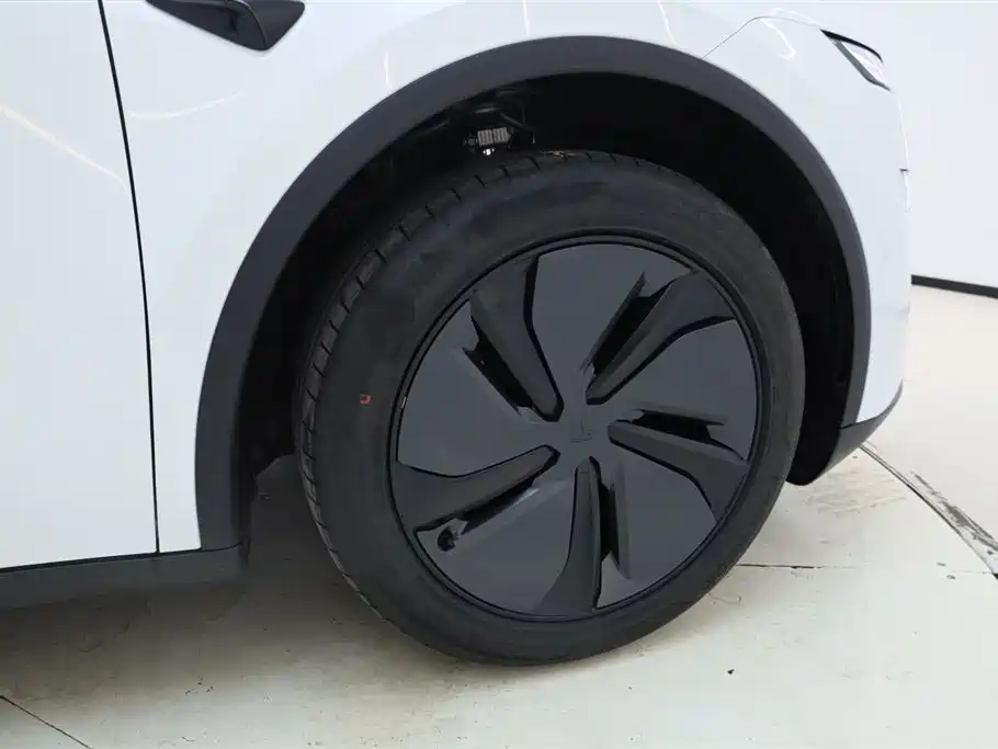 Tesla Model Y 2026 Long Range Rear-Wheel Drive 2026 - thumbnail 13