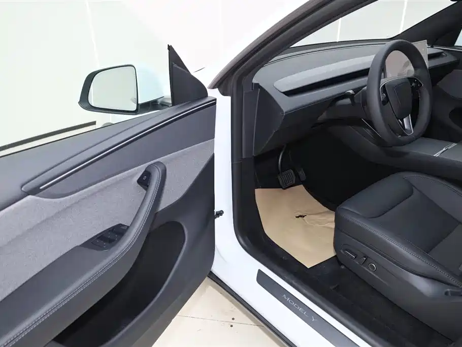 Tesla Model Y 2026 Long Range Rear-Wheel Drive 2026 - thumbnail 19