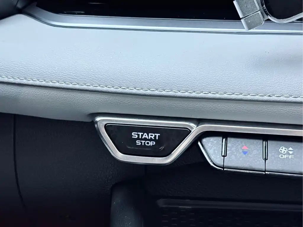 Geely Auto Geely Xingrui 2021 Model Year Facelift 2.0TD Premium Version 2021 - thumbnail 9