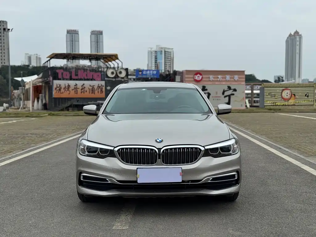 BMW BMW 5 Series 2019 Facelift 530Li Luxury Package 2019 - thumbnail 2