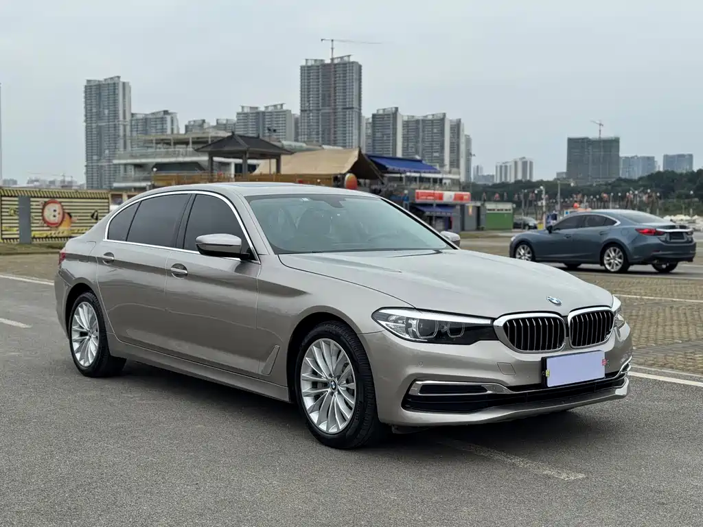 BMW BMW 5 Series 2019 Facelift 530Li Luxury Package 2019 - thumbnail 3