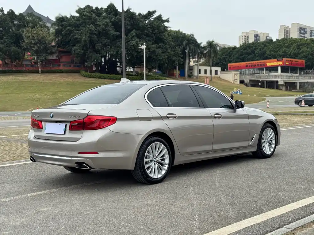 BMW BMW 5 Series 2019 Facelift 530Li Luxury Package 2019 - thumbnail 5
